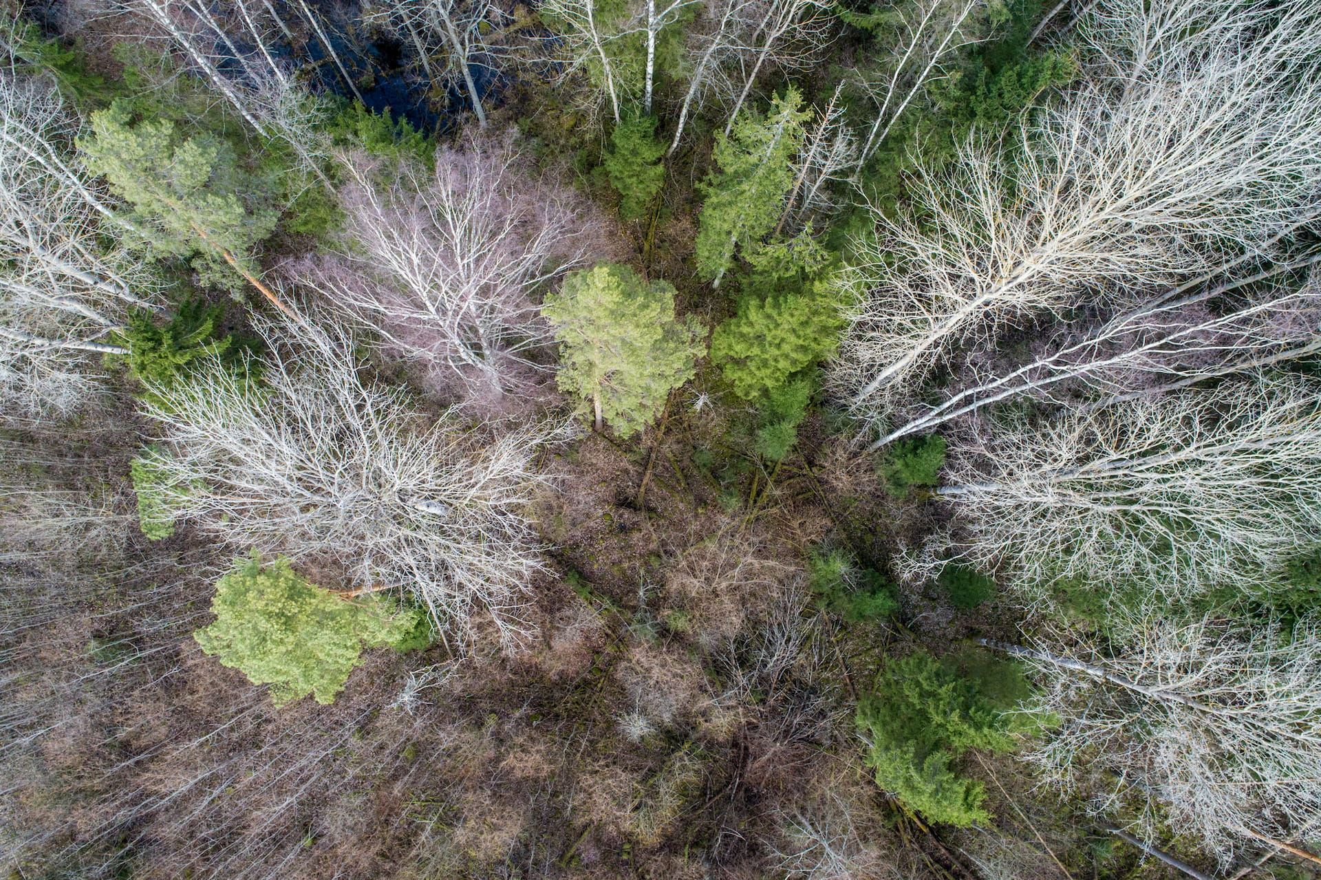 Ympäristökoulutussarja 2/3: Ilmastonmuutoksen hillintä, sopeutuminen ja varautuminen