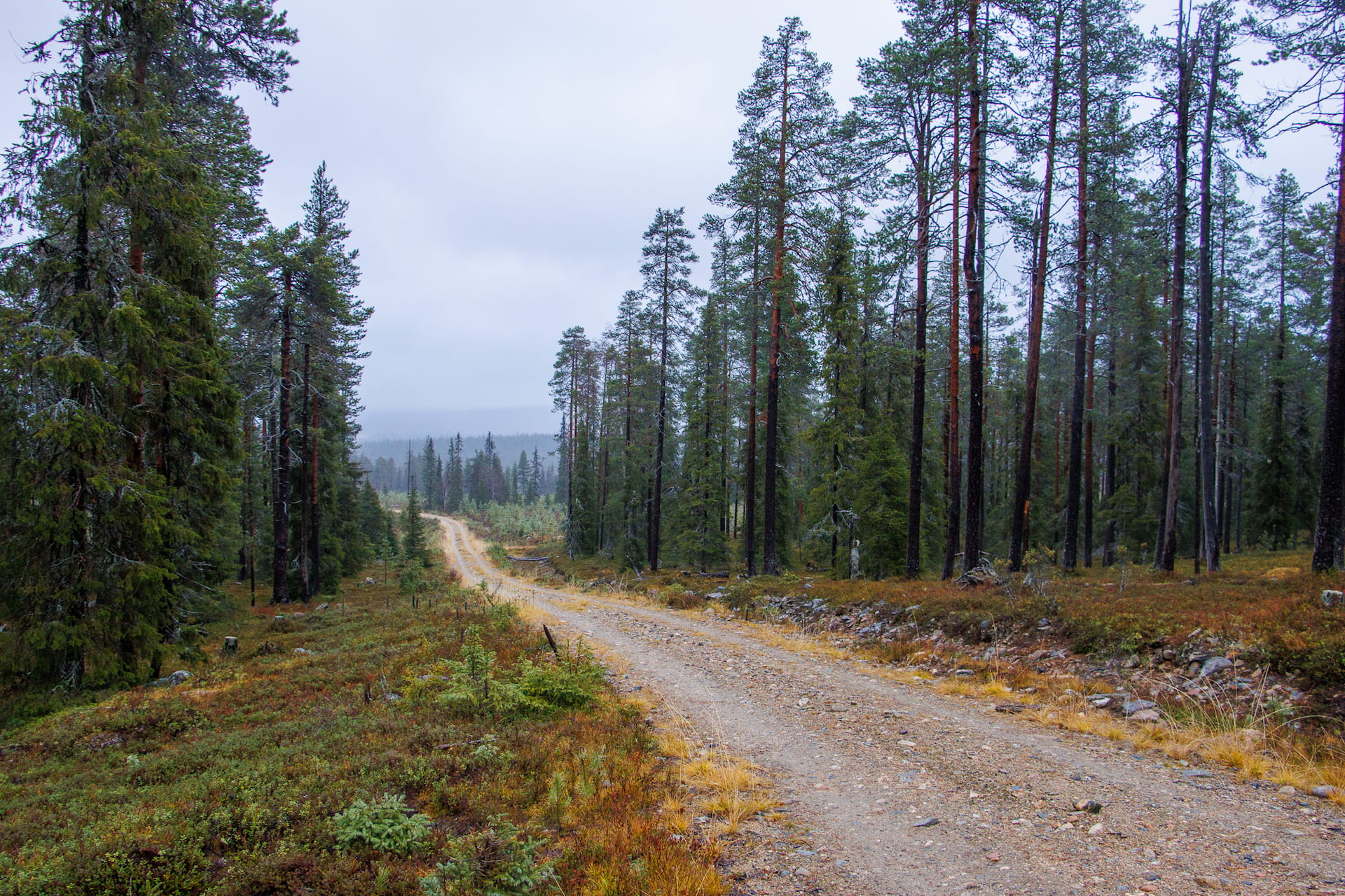 Yksityistiepäivät-kiertue tieasioista kiinnostuneille