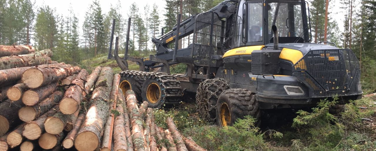 Ajantasainen puumarkkinatieto parantaa metsänomistajan tilipussia