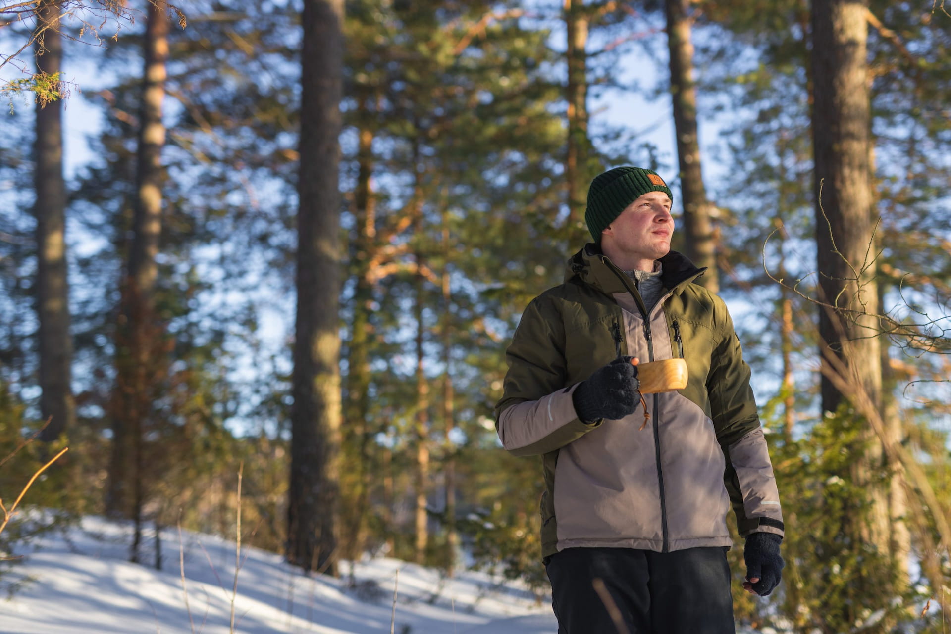 Mikä on yhteismetsä?