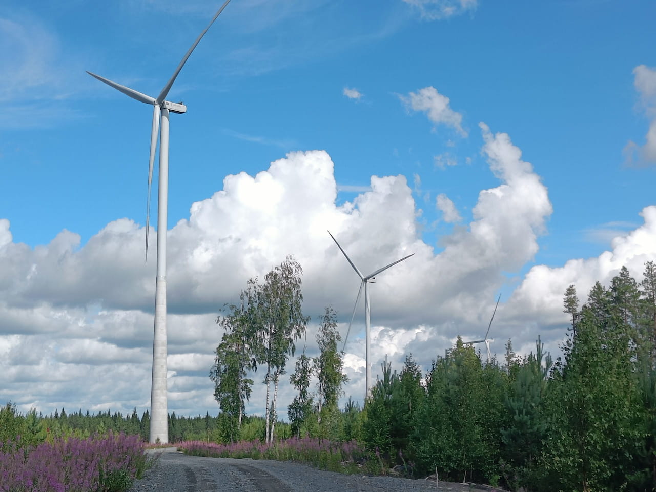 Metsänhoitoyhdistys suorittaa myös Infrahakkuita – Mukana Karhunnevankankaan Tuulipuiston Avajaistilaisuudessa