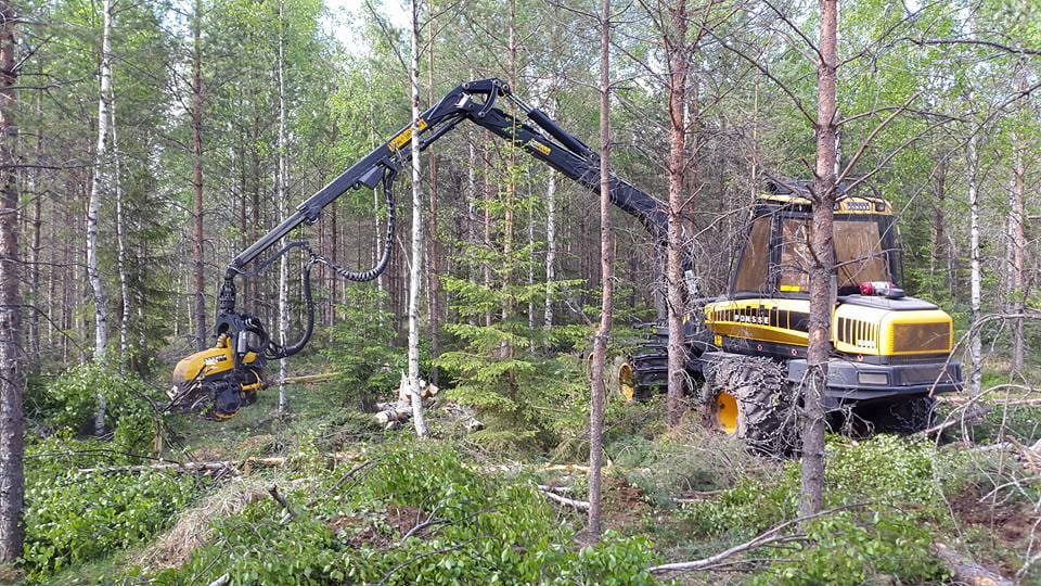 Puukauppa vilkasta Pohjois-Pohjanmaalla