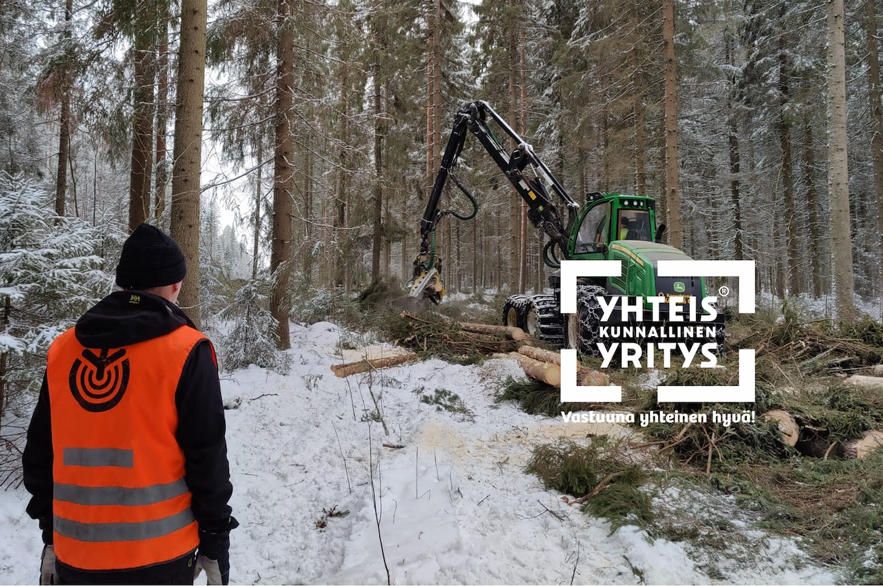 Haetaan metsäasiantuntijaa Ylivieskaan