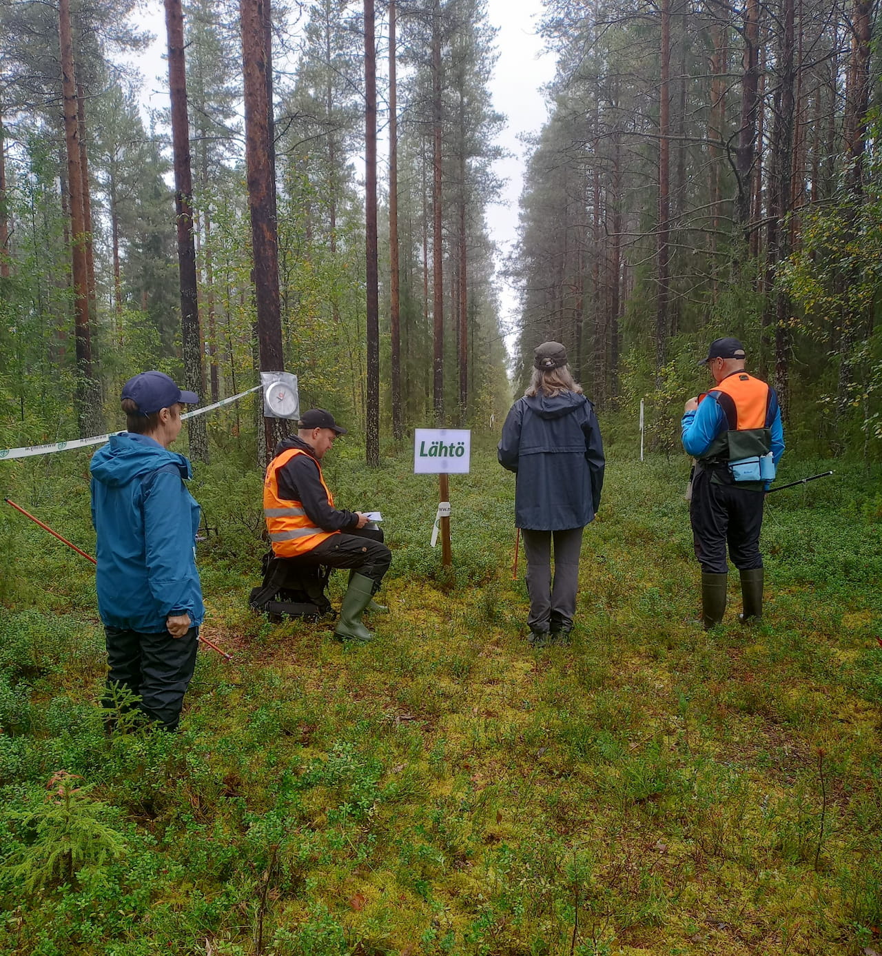 Metsätaitokilpailut kisattiin mukavassa syyssäässä