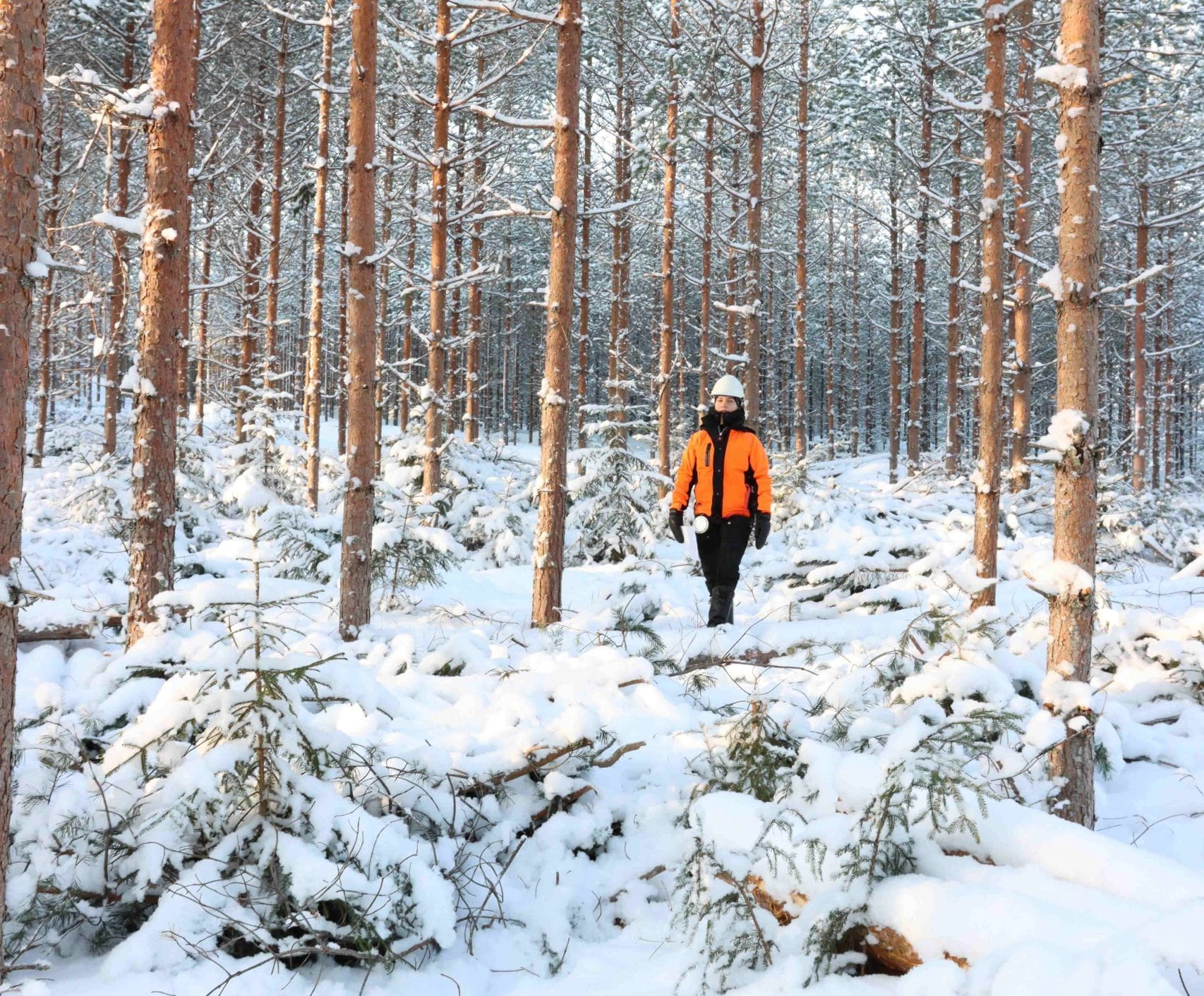 Metsäilta Enonkoskella