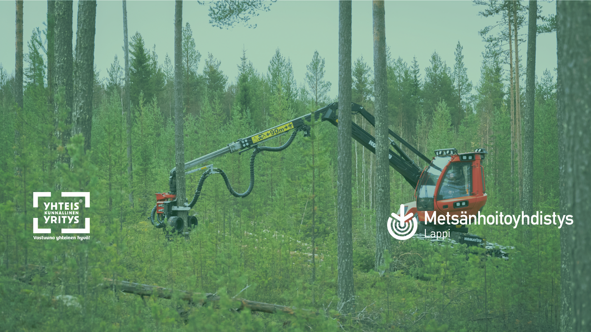 Metsänhoitoyhdistys tuntee metsäsi