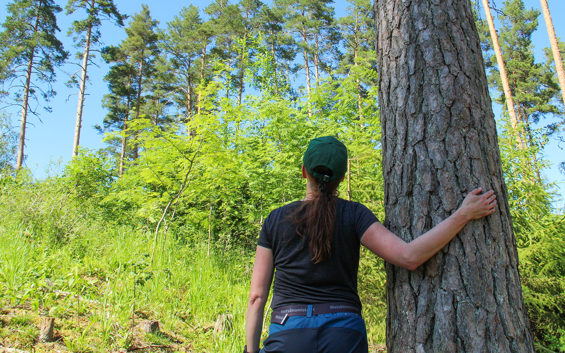 Uusi metsänomistaja, lähde Metsänhoitoyhdistyksen metsäasiantuntijan kanssa tutustumaan tilaasi ja saat paljon uutta tietoa metsistäsi.