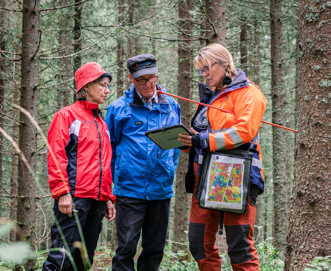 Asiakastarina: Metsäasiantuntija Päivi-Elina Huttunen tuntee Tuupovaaran metsät