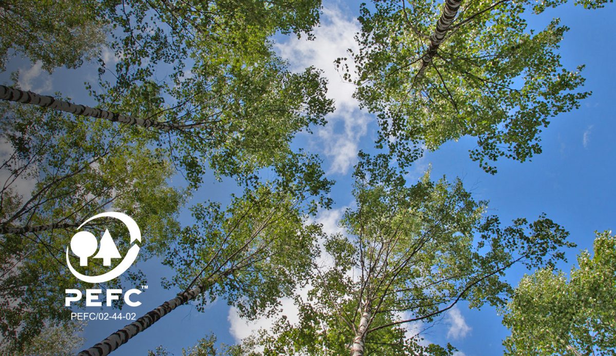 Uusi PEFC-standardi vahvistaa metsien ekologista kestävyyttä -  Valtakunnallinen - Metsänomistajat