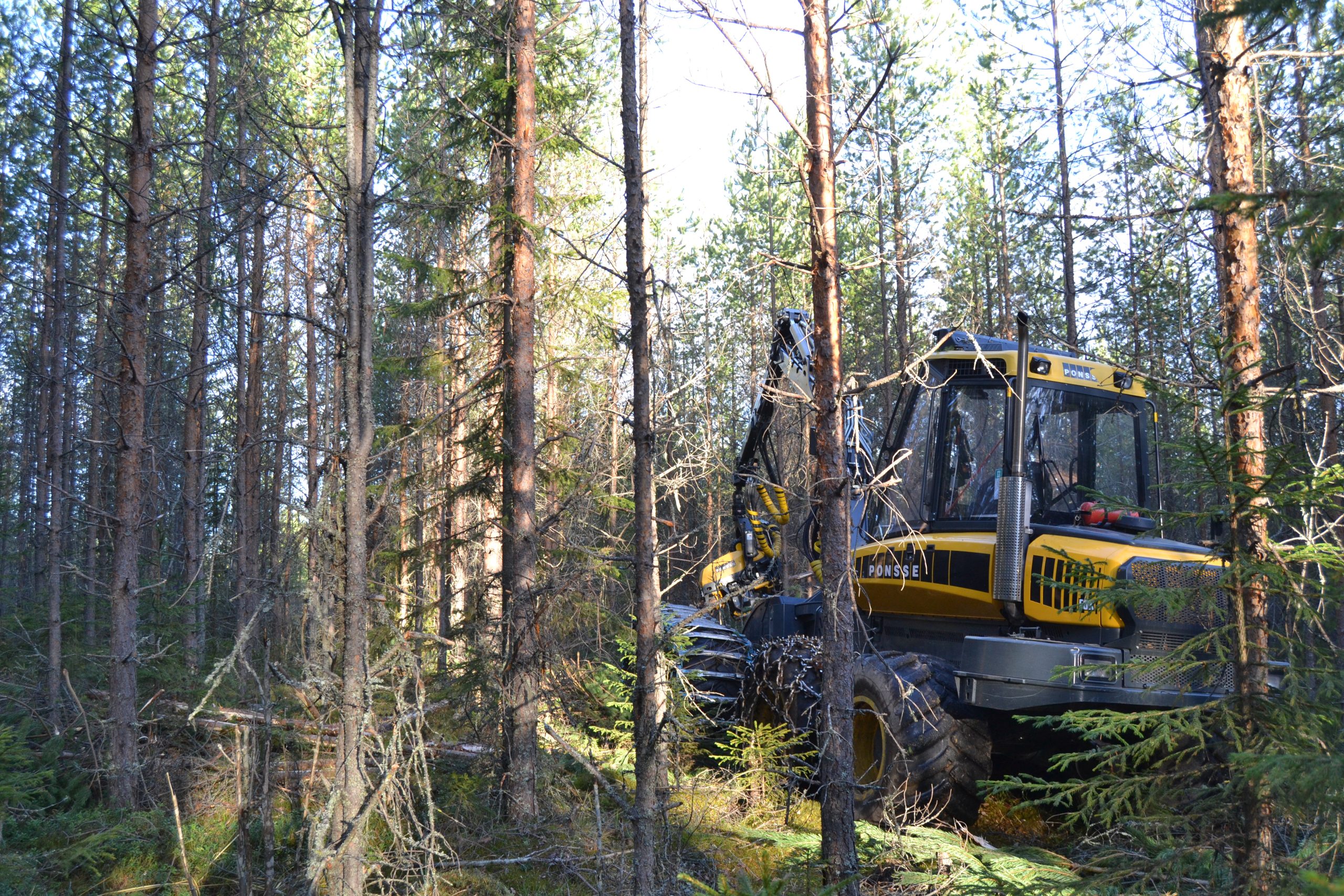 Etusivu - Keski-Suomi - Metsänomistajat