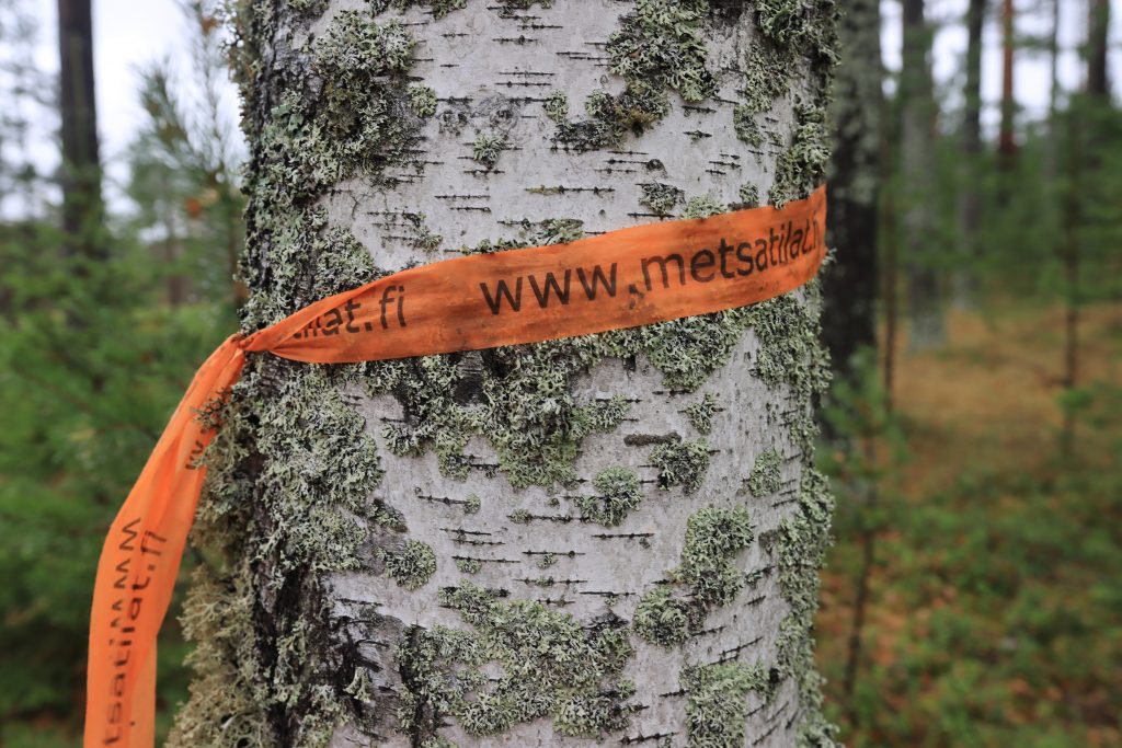 Metsätilojen välitys - Etelä-Savo - Metsänomistajat